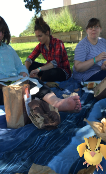 Pidgie enjoying the picnic